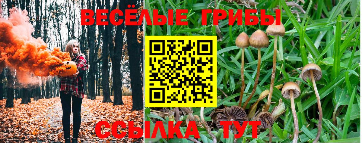 Каспийск  Псилоцибиновые грибы мухоморы  купить наркотики цена  Вход с VPN 